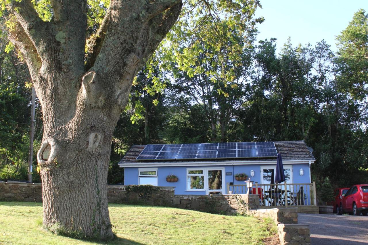 شقة Bronllys Farm Coastal Self-Catering لينيلي المظهر الخارجي الصورة